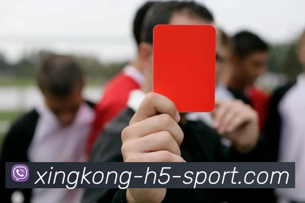 星空体育发展历程